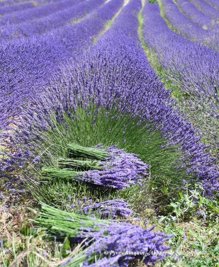 Entre Ventoux Et Luberon Chambre D'Hote Sault Exterior foto