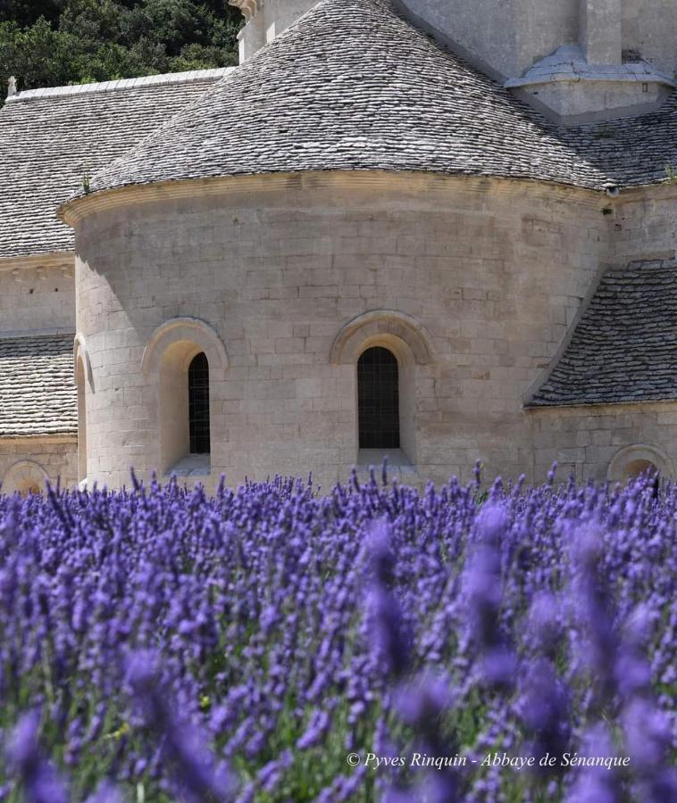 Entre Ventoux Et Luberon Chambre D'Hote Sault Exterior foto