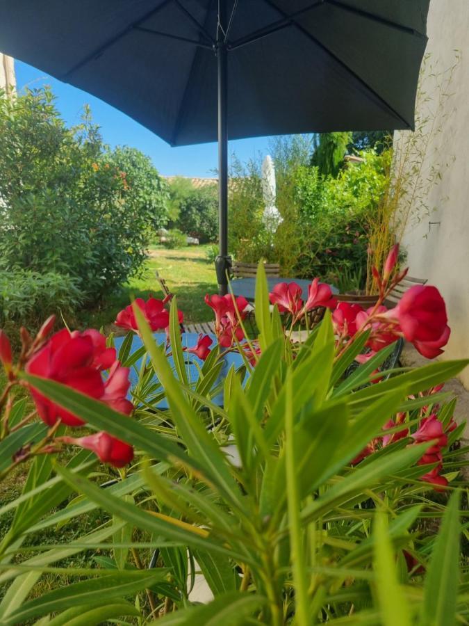 Entre Ventoux Et Luberon Chambre D'Hote Sault Exterior foto